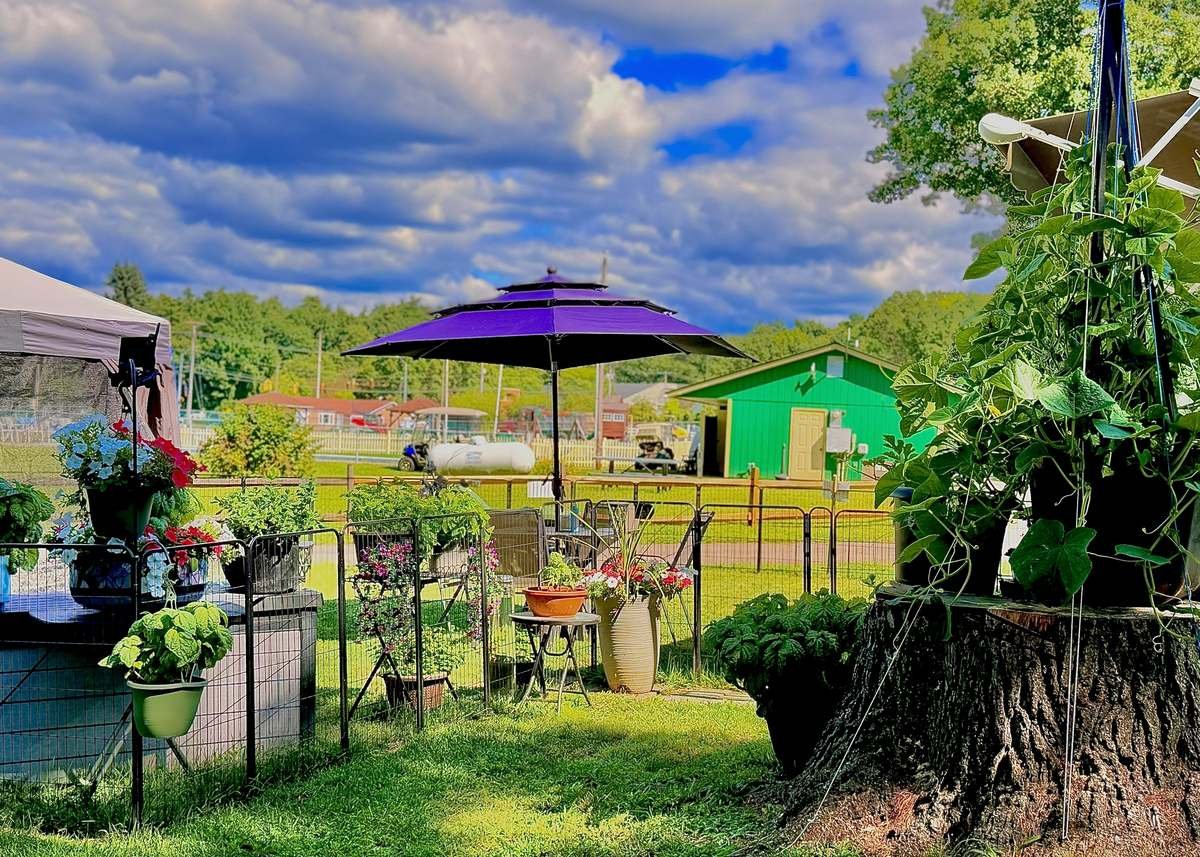 A seasonal site with flower garden, awning and umbrella