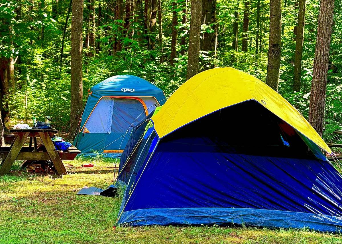 Two tents on a shaded tent site with picnic table and firewood